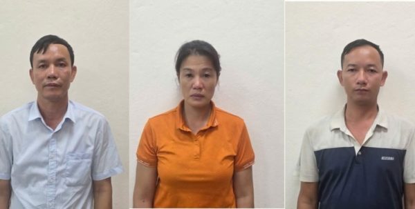 Bắt giám đốc lâm trường vì khai thác gỗ trái phép: Tin tức mới nhất