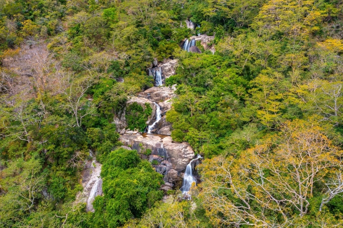 Hệ thực vật vùng lõi tại Khu dự trữ sinh quyển thế giới Núi Chúa, Ninh Thuận. Ảnh: Huỳnh Văn Truyền