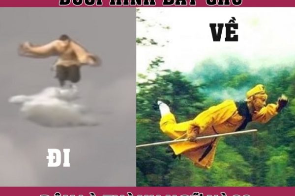 Thành ngữ Việt Nam nào diễn tả khả năng bay lượn siêu phàm?