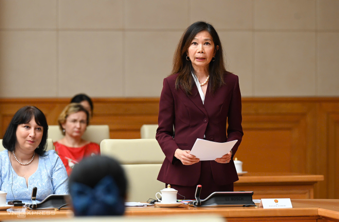 Điều phối viên thường trú Liên Hợp Quốc tại Việt Nam Pauline Tamesis phát biểu tại cuộc gặp. Ảnh: Giang Huy