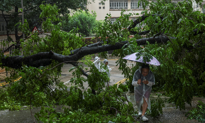 Cây đổ trên một tuyến phố tại Hong Kong, Trung Quốc ngày 20/7. Ảnh: Reuters