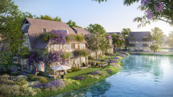 Sắc tím lavender tràn ngập khắp cụm đảo Violet. Ảnh: Ecopark