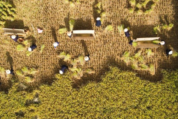 Lạng Sơn: Thu hút 3,1 triệu du khách, tăng trưởng du lịch