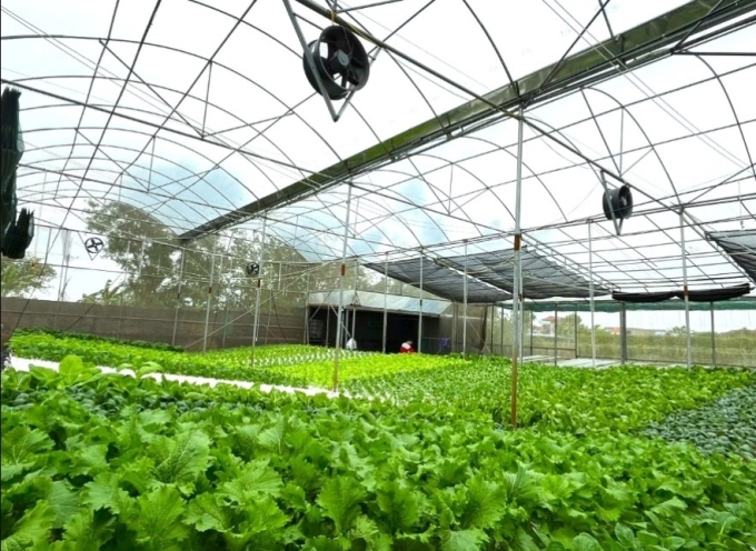 Một mô hình nông nghiệp sạch, công nghệ cao tại Hà Nội từ nguồn vốn của Agribank. Ảnh: Agribank