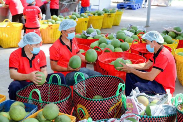 30 năm hợp tác kinh doanh: Doanh nghiệp Việt – Mỹ phát triển