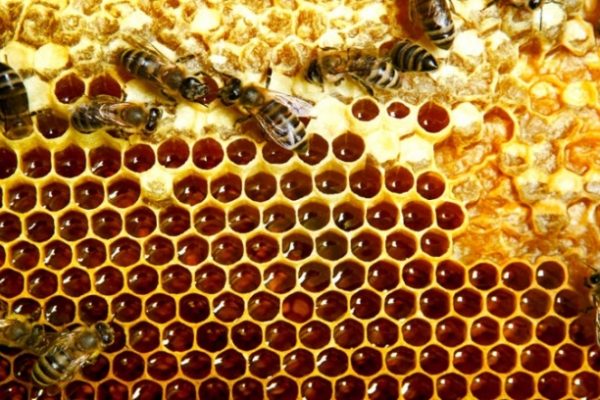 Bí mật hóa học: Tại sao mật ong để lâu không hỏng?