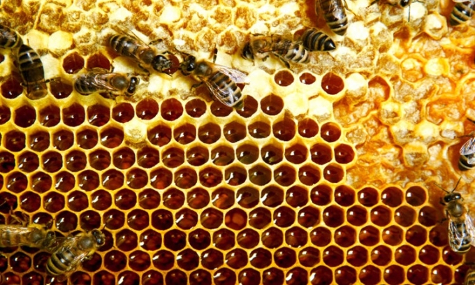 Quá trình ong tạo ra mật góp phần giúp mật ong lâu hỏng. Ảnh: Bee Professor