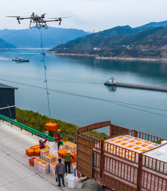 Drone vận chuyển cam ở làng Bành Kiều. Ảnh: VCG