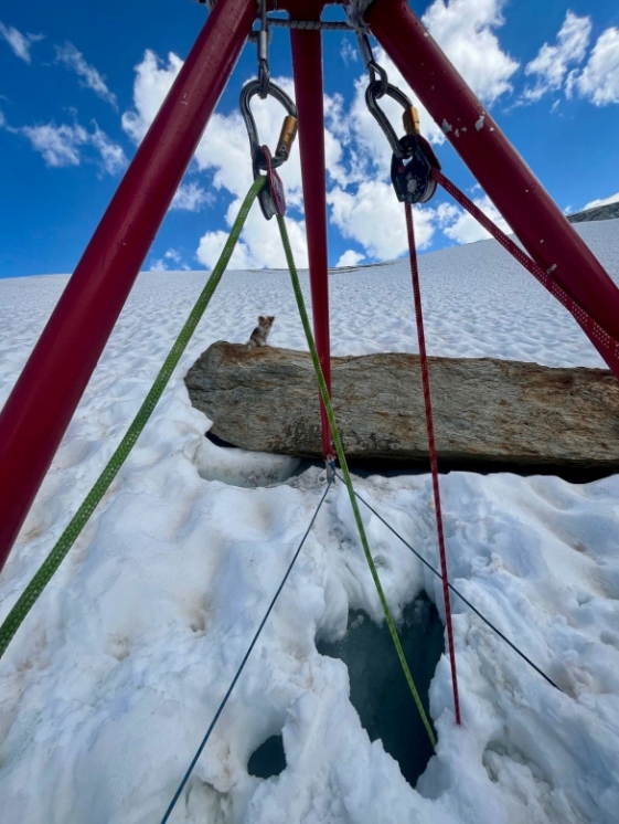 Con chó quan sát đội cứu nạn giải cứu chủ nhân. Ảnh: Air Zermatt