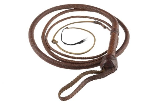 Dây roi ‘Indiana Jones’ giá khủng: Hơn 500.000 USD