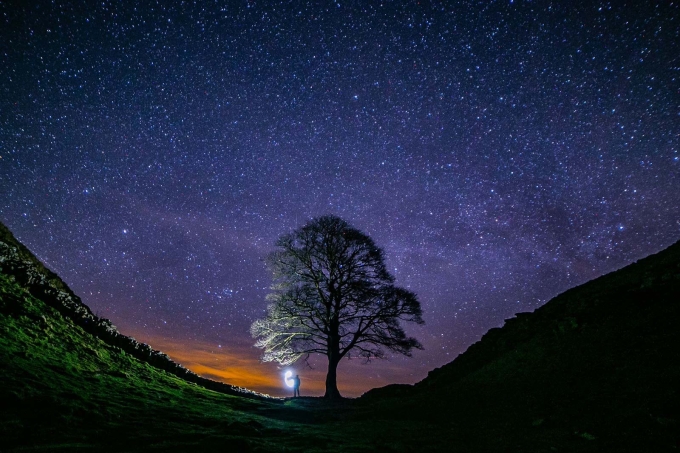 Cây sung dâu Sycamore Gap từng là điểm chụp ảnh của hàng triệu du khách khi đến vùng Northumberland. Ảnh: BBC