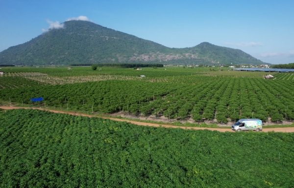 Phân bón Cà Mau: Đồng hành cùng ‘Thức giấc với mùa vàng’