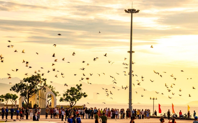 Nhiều cư dân chọn Nha Trang làm nơi an cư. Ảnh: Khoa Trần