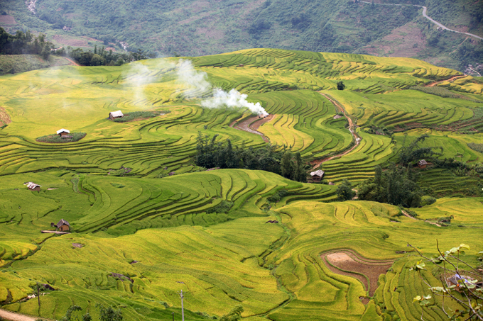 Những thửa ruộng bậc thang trải dài xanh mướt với những dải núi phía xa tạo nên khung cảnh hùng vĩ cho Sa Pa. Ảnh: Sapa Tourism