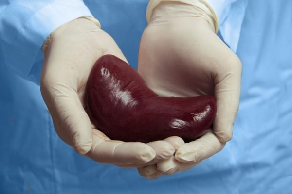 Người đàn ông HIV hồi phục kỳ diệu nhờ thận hiến tặng của vợ