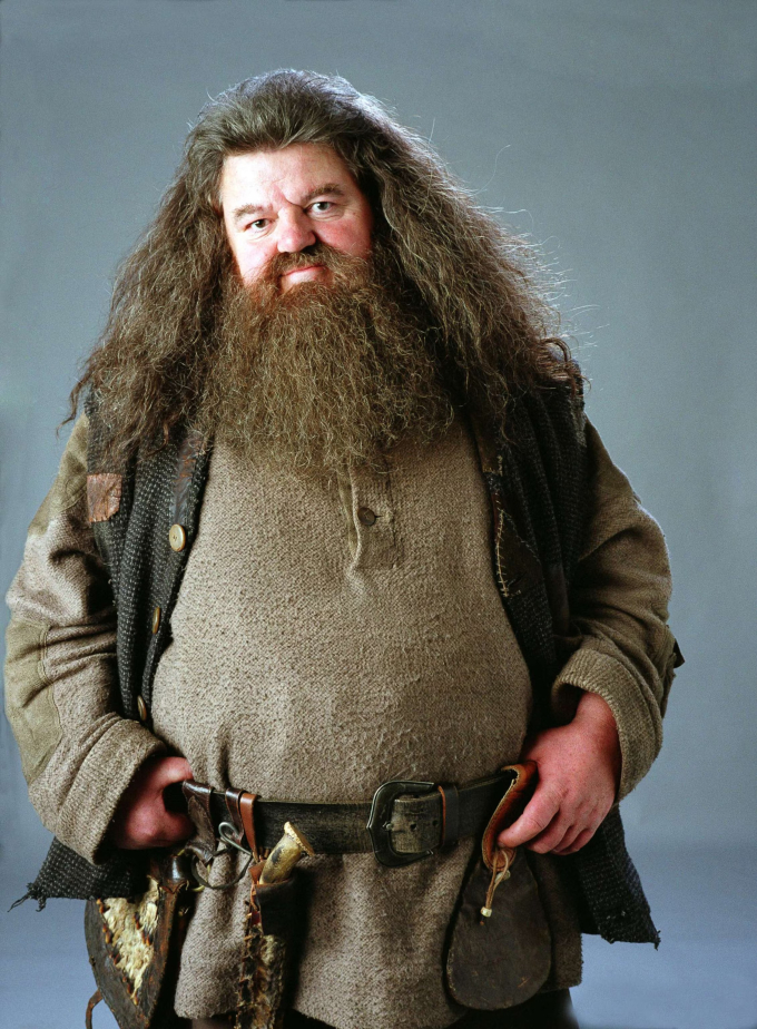 Tài tử Robbie Coltrane (1950-2022) trong phim điện ảnh Harry Potter. Ảnh: Warner Bros.