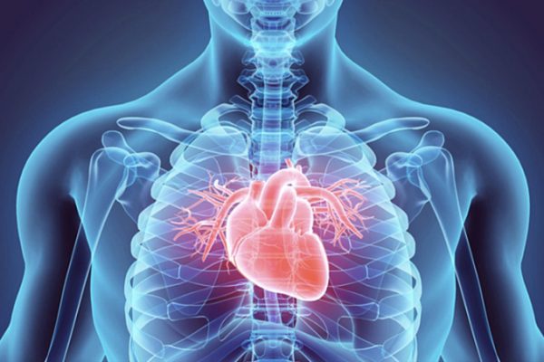 Ngừng tim đột ngột: Hiểm họa tiềm ẩn cho mọi người