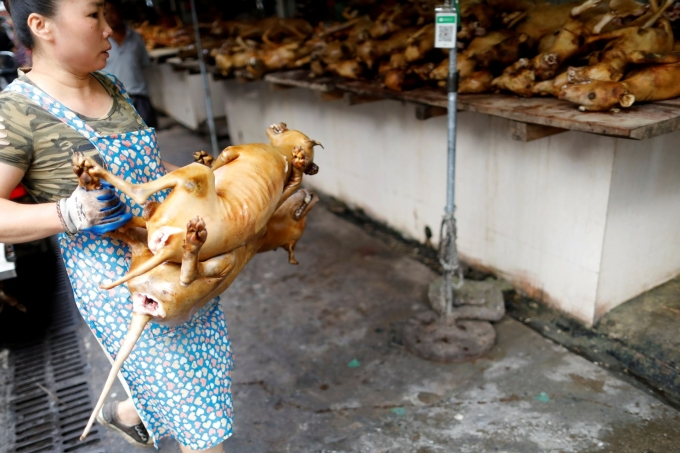 Bên trong lễ hội thịt chó Ngọc Lâm. Ảnh: Reuters