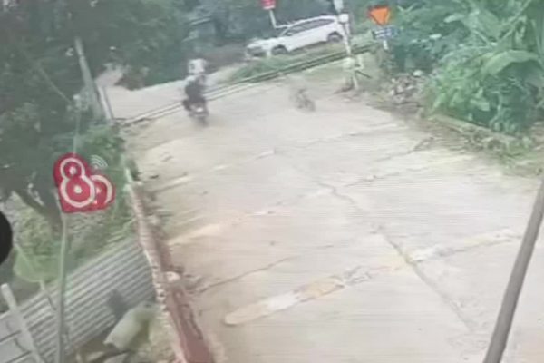 Hải Phòng: Chàng trai dũng cảm cứu bé khỏi tàu hỏa