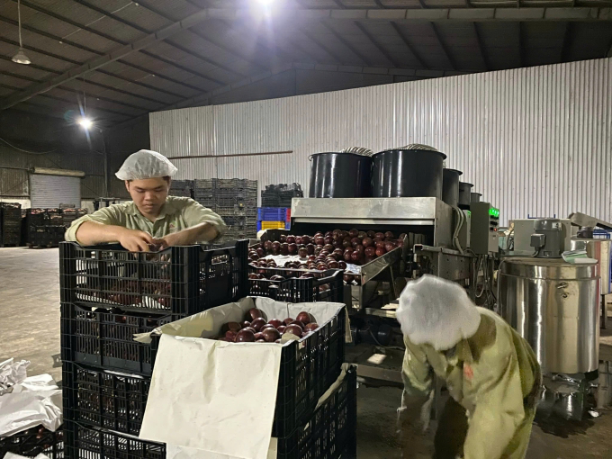 Bio Ecos được ứng dụng trên sản phẩm chanh leo. Ảnh: NVCC