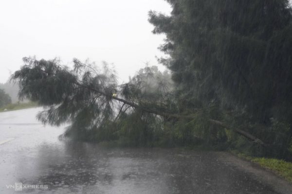 Bão Kajiki mạnh cấp 14, đổ bộ Thanh Hóa – Nghệ An vào chiều nay