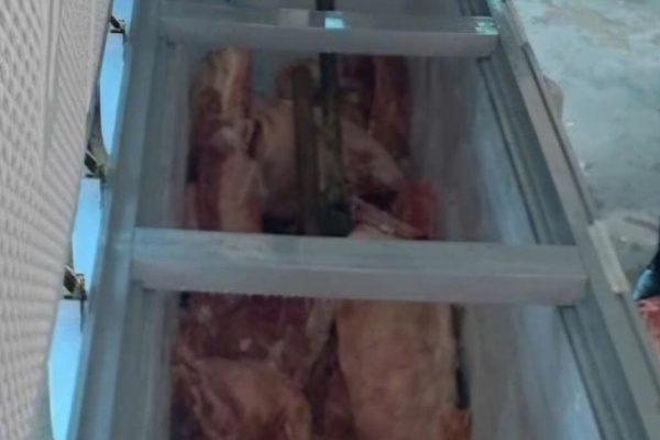 Bắt giữ 4 người buôn bán thịt lợn dịch tả Châu Phi