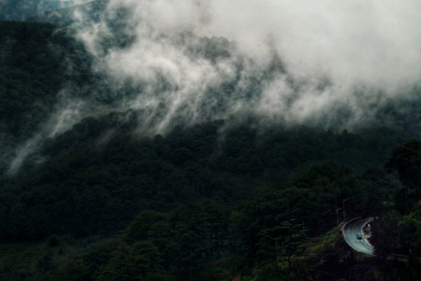 Kinh nghiệm du lịch Đà Lạt mùa mưa an toàn, vui vẻ