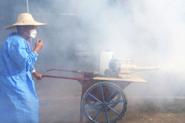 Bệnh Chikungunya: Mức độ nguy hiểm và cách phòng ngừa