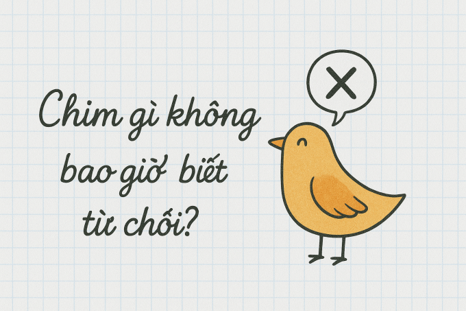 Chim gì không bao giờ biết từ chối?
