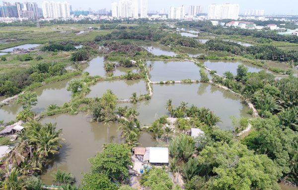 Quốc Cường Gia Lai Trả 100 Tỷ Nợ Dự Án Liên Quan Trương Mỹ Lan