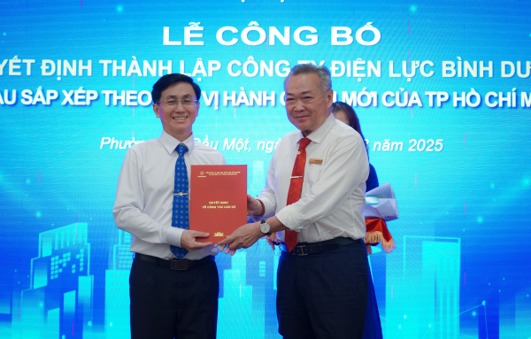 EVNHCMC Thành Lập 9 Công Ty Điện Lực Thành Viên