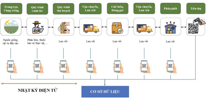 Sơ đồ quy trình truy xuất nguồn gốc cho nông sản của Checkee.