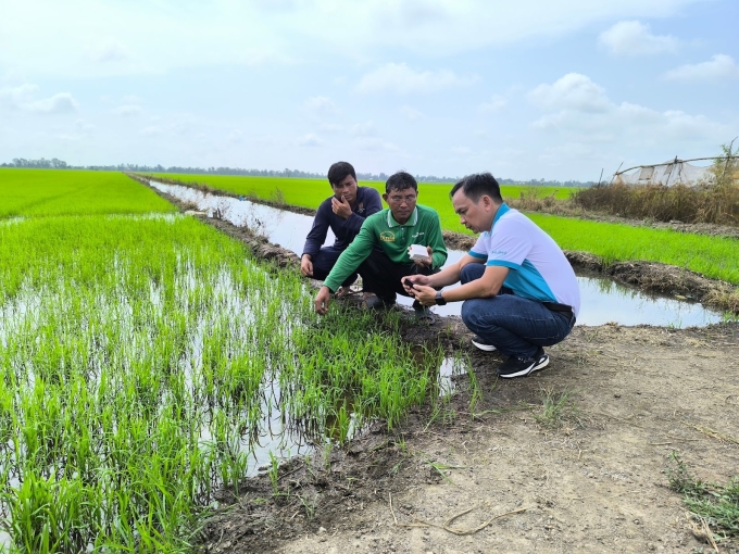 Chuyên gia Phú Mỹ hướng dẫn nông dân canh tác hiệu quả. Ảnh: Phú Mỹ