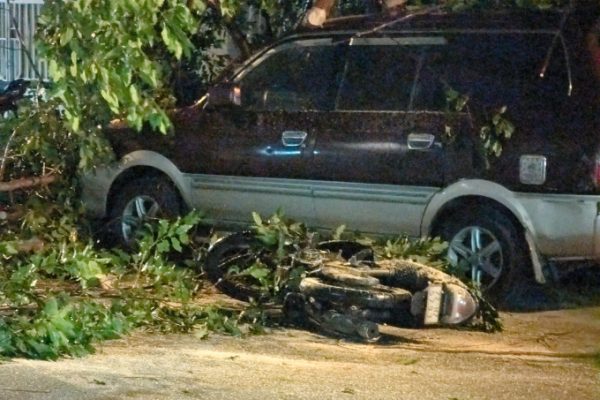 Tai nạn xe máy: Cây đổ bất ngờ gây nguy hiểm
