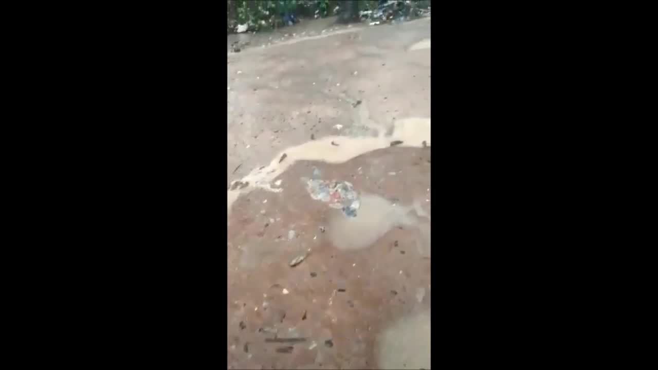Cơn mưa mang hàng trăm con cá trút xuống thị trấn Ấn Độ