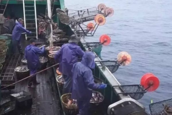 Thảm án tàu cá: 11 người sống sót sau chuyến đi 33 thuyền viên