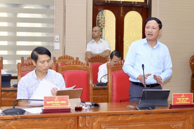 Phó Bí thư Tỉnh ủy, Chủ tịch UBND tỉnh Phạm Anh Tuấn phát biểu