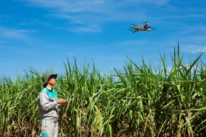 Nông trường công nghệ cao của AgriS tại tỉnh Tây Ninh. Ảnh: