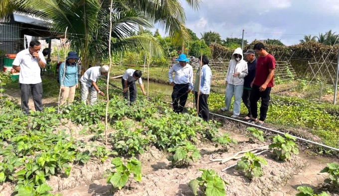 Một buổi kiểm tra chéo của những thành viên trong tổ sản xuất rau hữu cơ. Ảnh: Nguyễn Khánh