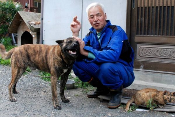 14 năm bám trụ ‘vùng đất chết’ Fukushima
