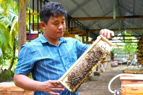 Nuôi ong đa tầng: Bí quyết kiếm tiền tỷ hiệu quả