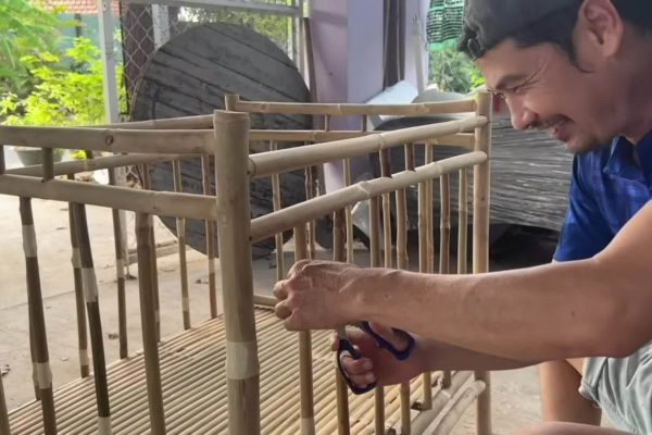 Tiết Cương Làm Bố Tuổi 52: Hành Trình Mới
