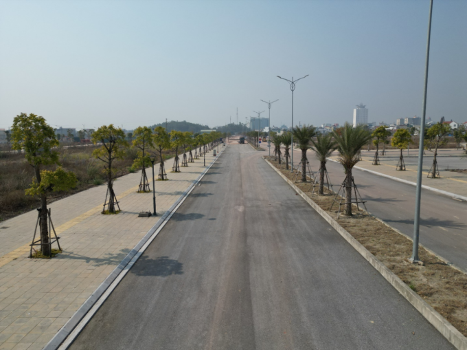 Hàng cây, thảm cỏ, đường nội khu xuyên suốt trên toàn dự án. Ảnh: Vinaconex