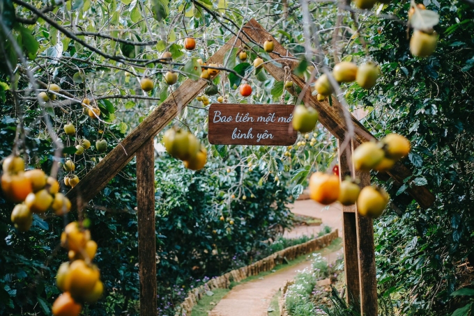 4 quán cà phê check in hồng chín tại Đà Lạt - 3