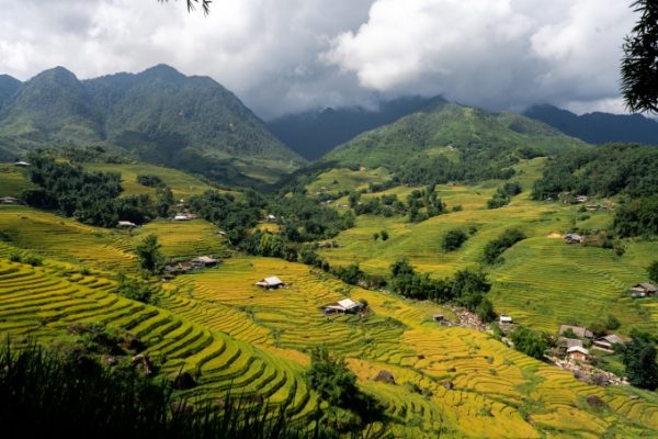 Sa Pa mùa vàng: Kinh nghiệm ngắm cảnh 48 giờ