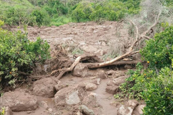 Sudan: Lở đất kinh hoàng vùi lấp hơn 1.000 dân