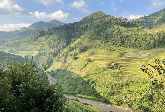 Ruộng bậc thang Mù Cang Chải nhìn từ khu nghỉ dưỡng. Ảnh: Vũ Thảo