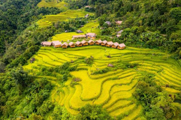 5 Homestay Hoàng Su Phì View Mùa Vàng Tuyệt Đẹp