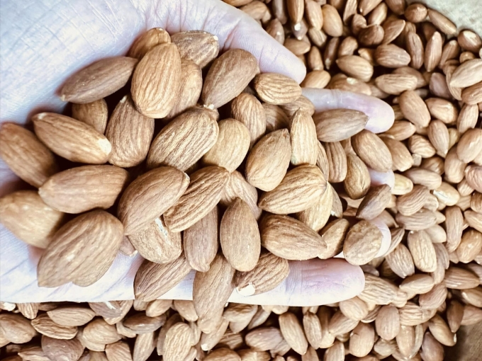 Hạt hạnh nhân giàu vitamin E có thể làm chậm quá trình lão hóa mắt. Ảnh: Đình Diệu