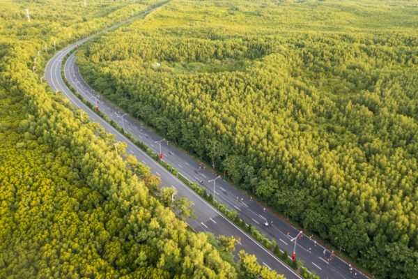 3.000 runner dự HDBank Green Marathon mùa thứ tư